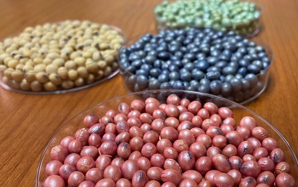 Coinoculación y tratamiento acelerado: los conceptos del año en biológicos